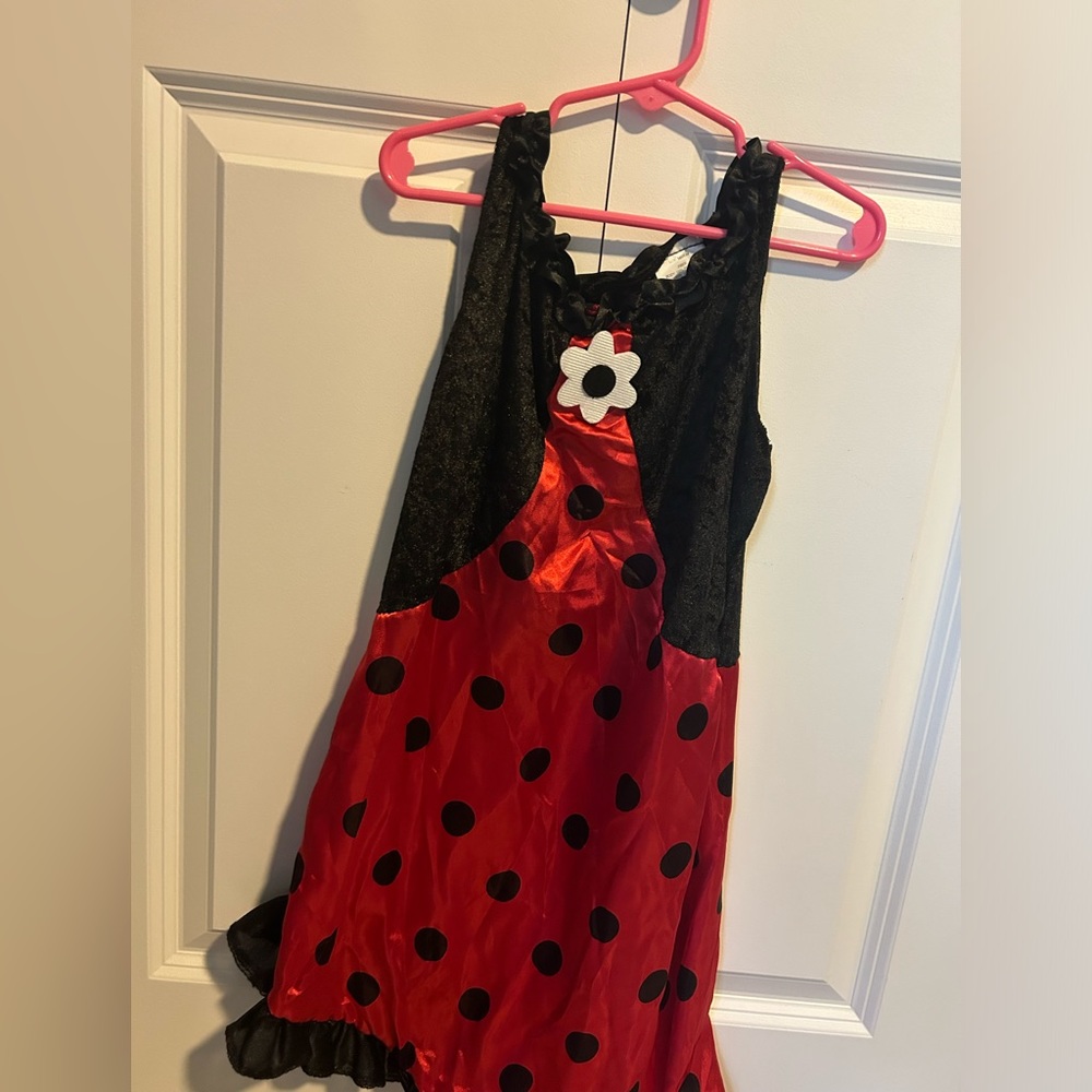 Girls Lady Bug Dress